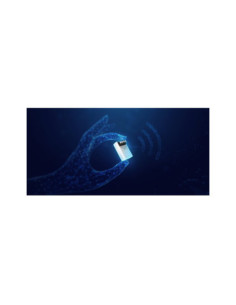 Implant smart FIBARO 2