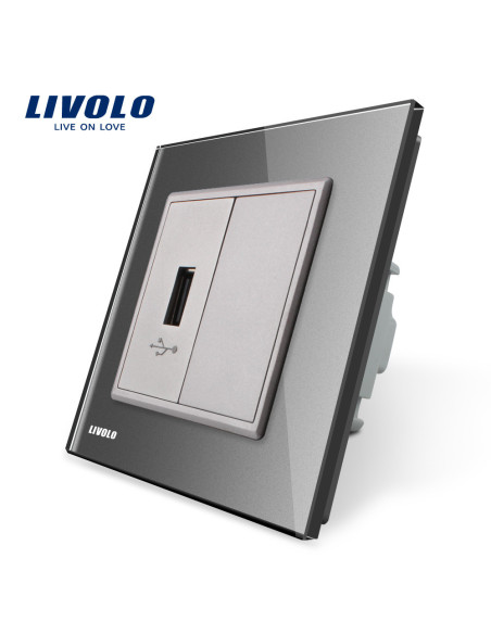 Priză simplă USB Tip A cu ramă din sticlă Livolo, gri