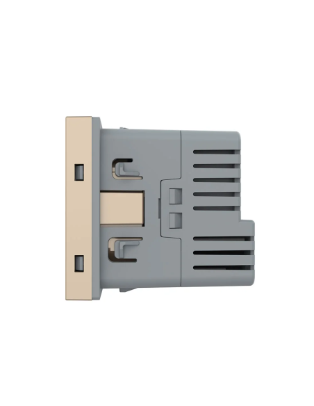 Modul Priză Schuko 16A + USB Tip C 2M Livolo