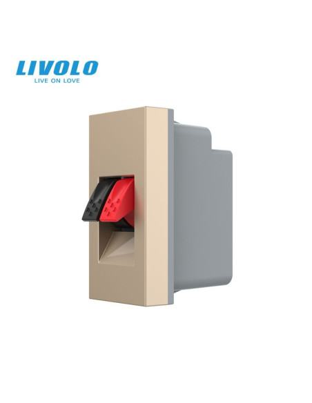 Modul Priză Audio Hi-Fi 1M Livolo