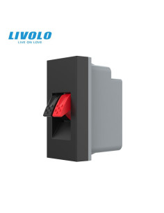 Modul Priză Audio Hi-Fi 1M Livolo 2