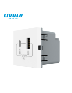 Modul Priză USB Tip A + USB Tip C 2M Livolo