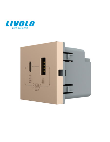 Modul Priză USB Tip A + USB Tip C 2M Livolo