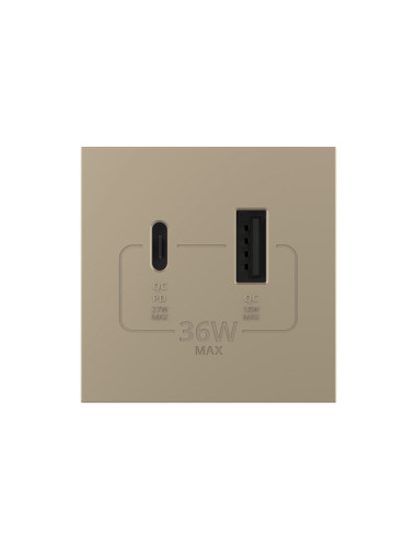 Modul Priză USB Tip A + USB Tip C 2M Livolo