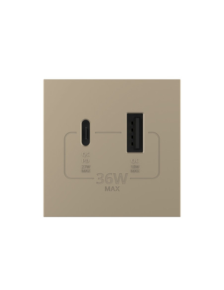Modul Priză USB Tip A + USB Tip C 2M Livolo