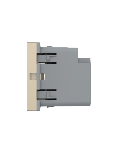 Modul Priză USB Tip A + USB Tip C 2M Livolo