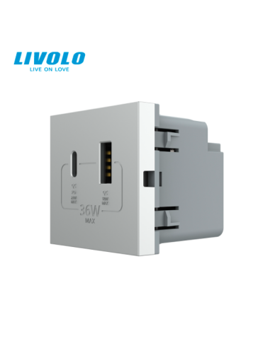 Modul Priză USB Tip A + USB Tip C 2M Livolo