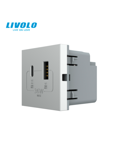 Modul Priză USB Tip A + USB Tip C 2M Livolo