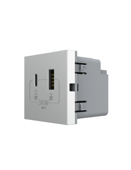 Modul Priză USB Tip A + USB Tip C 2M Livolo