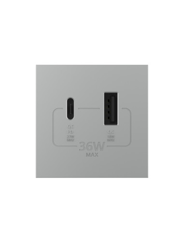 Modul Priză USB Tip A + USB Tip C 2M Livolo