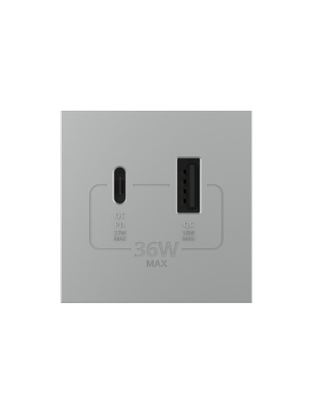 Modul Priză USB Tip A + USB Tip C 2M Livolo