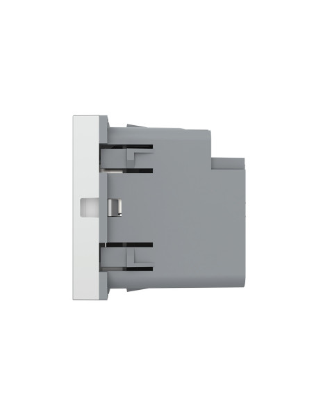 Modul Priză USB Tip A + USB Tip C 2M Livolo