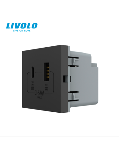 Modul Priză USB Tip A + USB Tip C 2M Livolo