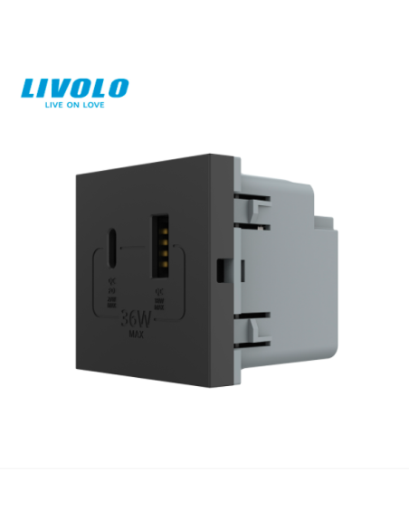Modul Priză USB Tip A + USB Tip C 2M Livolo
