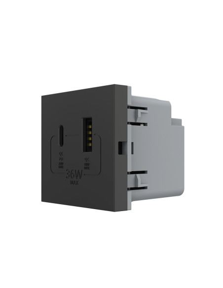 Modul Priză USB Tip A + USB Tip C 2M Livolo
