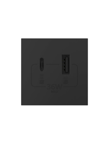 Modul Priză USB Tip A + USB Tip C 2M Livolo