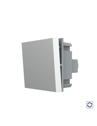 Modul Întrerupător Mecanic simplu cu Revenire 2M Livolo