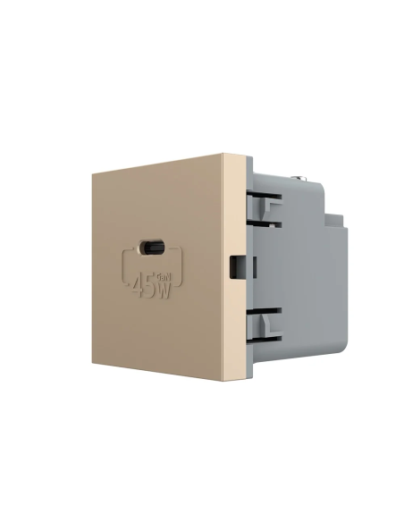 Modul Priză USB Tip C 2M Livolo