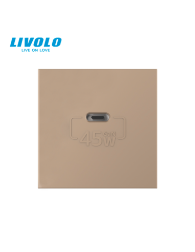 Modul Priză USB Tip C 2M Livolo