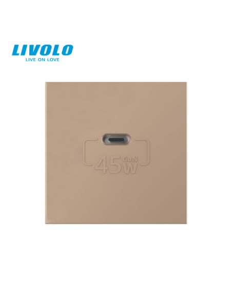 Modul Priză USB Tip C 2M Livolo