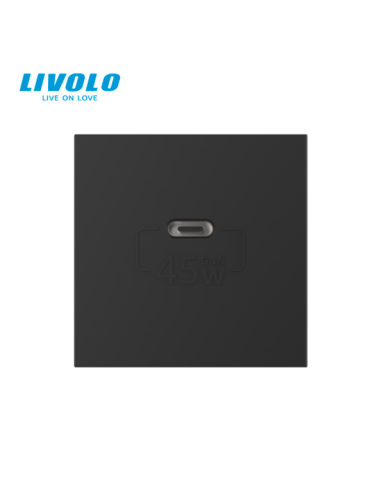 Modul Priză USB Tip C 2M Livolo