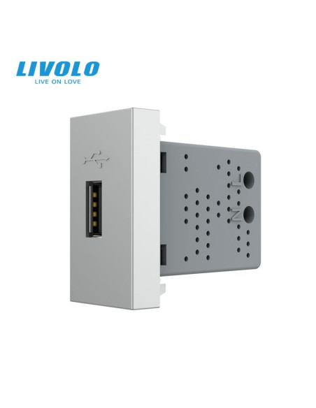 Modul Priză USB Tip A 1M Livolo