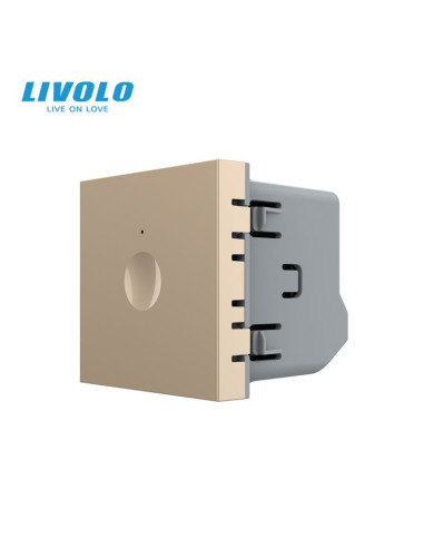 Modul Întrerupător Touch simplu 2M Livolo