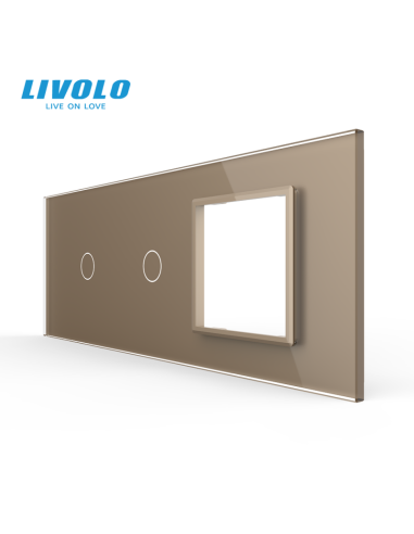 Panou pentru 2x Întrerupător Touch simplu + Ramă din sticlă pentru doză 6 module Livolo