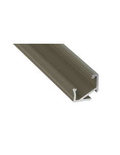 Culoare Profil H Inox Anodizat