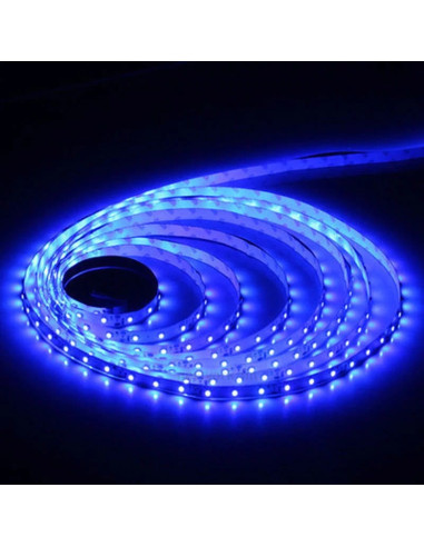 Banda LED 2835 Albastru IP65 12V