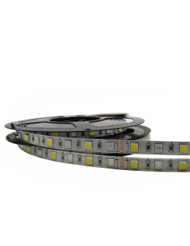 Banda LED RGBCCT IP20 CLASIC 60led/m