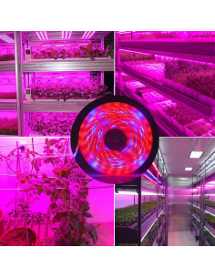 Banda led Plant Grow, pentru plante ip20, 5metri