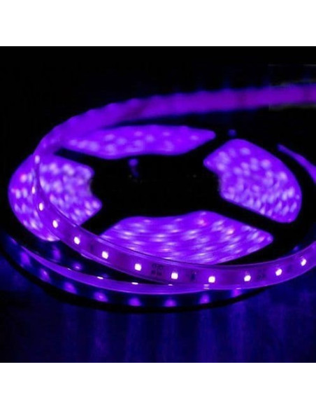 Banda Led Neonflex 12 V Mov 5 Metri