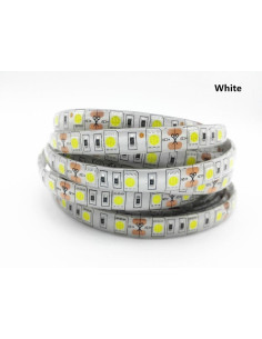Banda alb rece 5050  60 led/m 12v ip65 6000k 5metri
