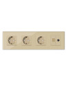 Priză triplă Schuko + TV + Date RJ45 CAT5e, ramă sticlă, Moono, auriu